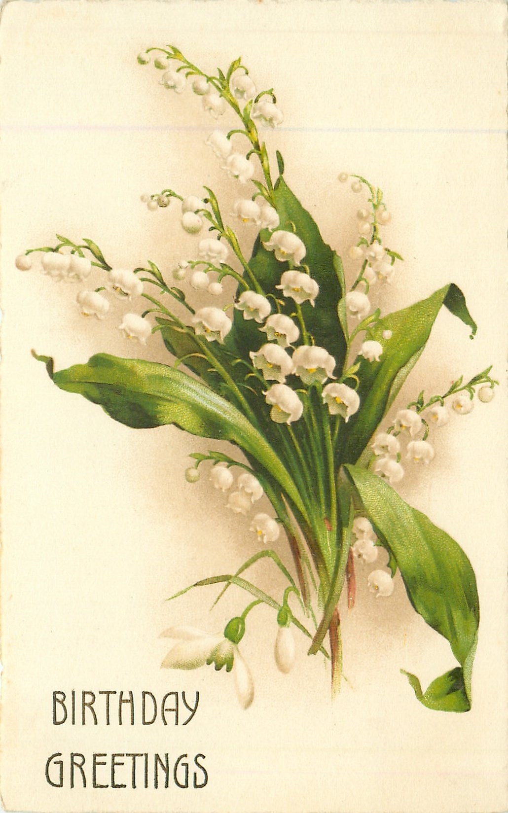 Ландыши старинные открытки