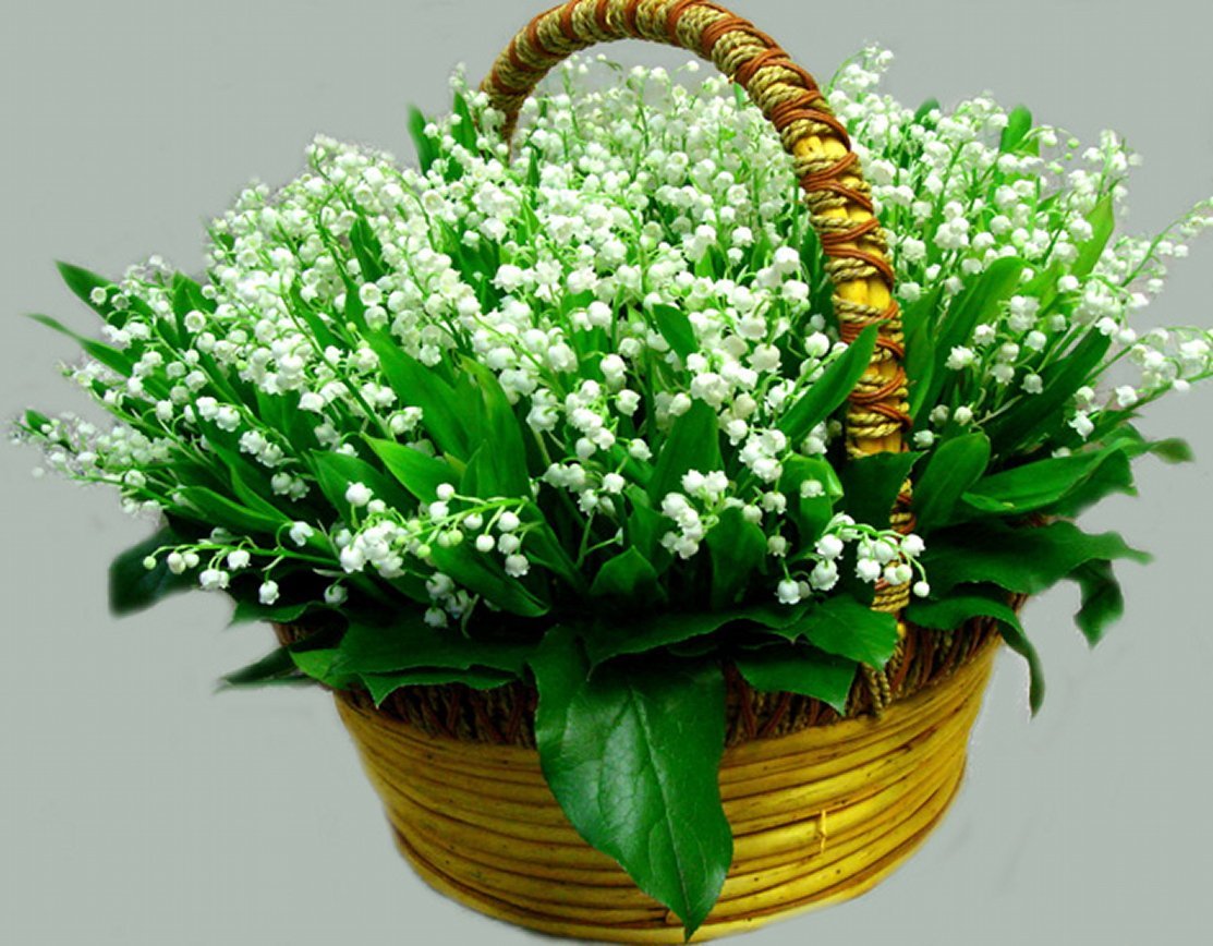Ландыши в корзинке