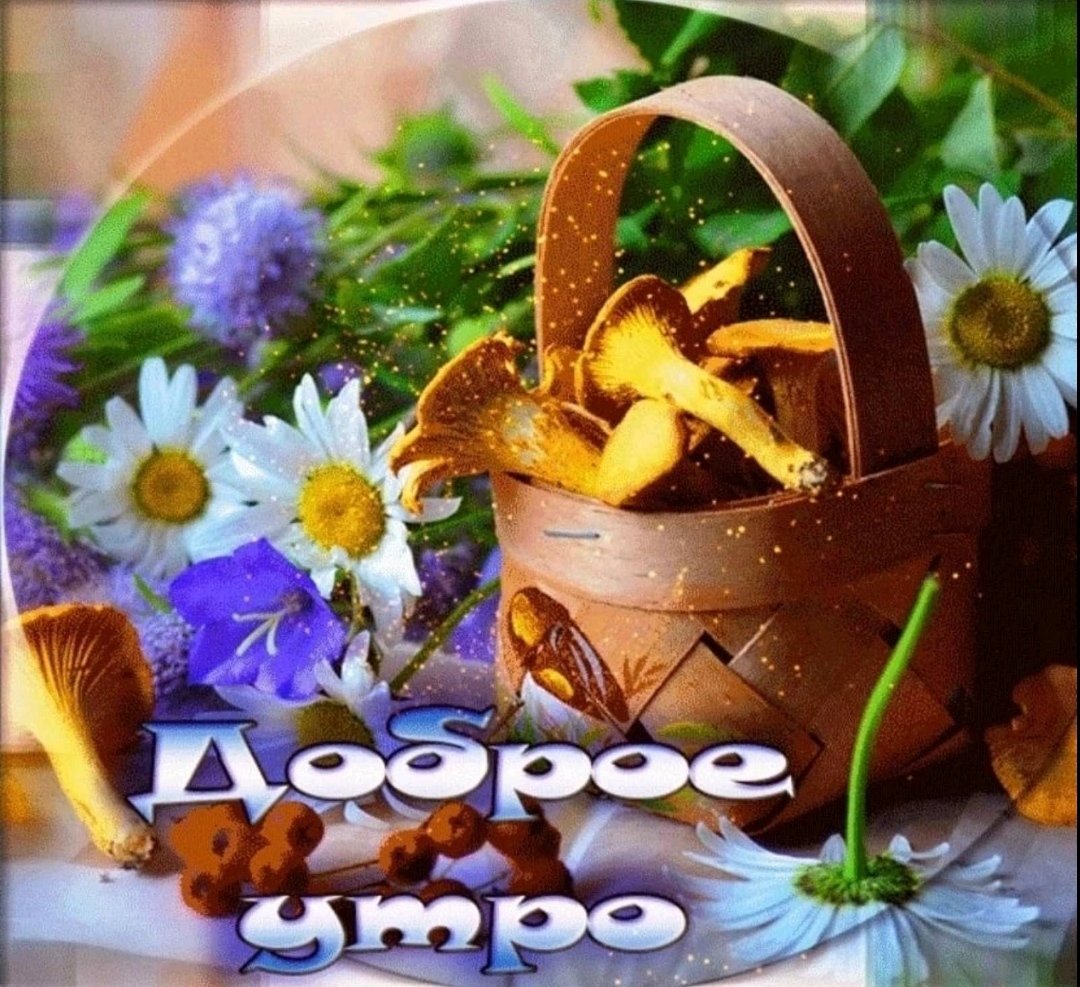 Доброе утро успешного дня