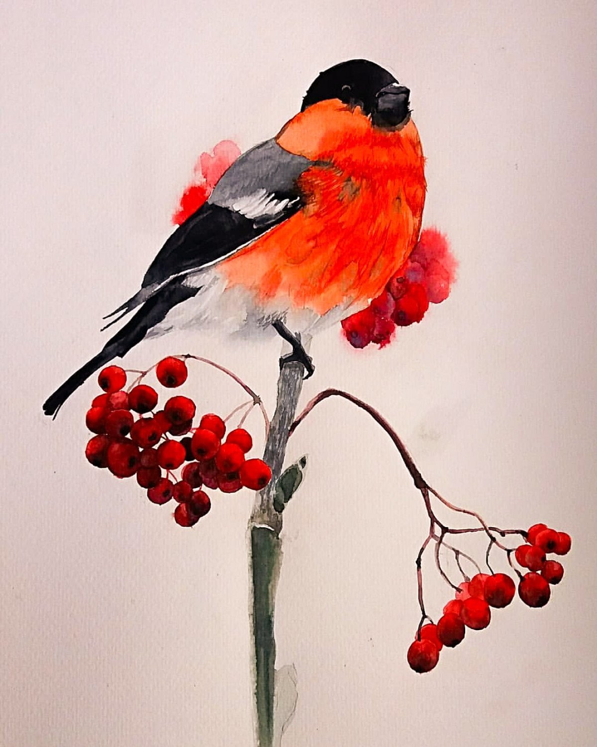 Снегири на ветке