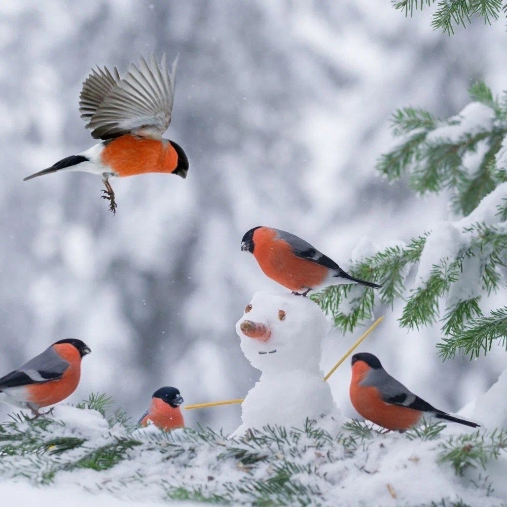 Стая снегирей