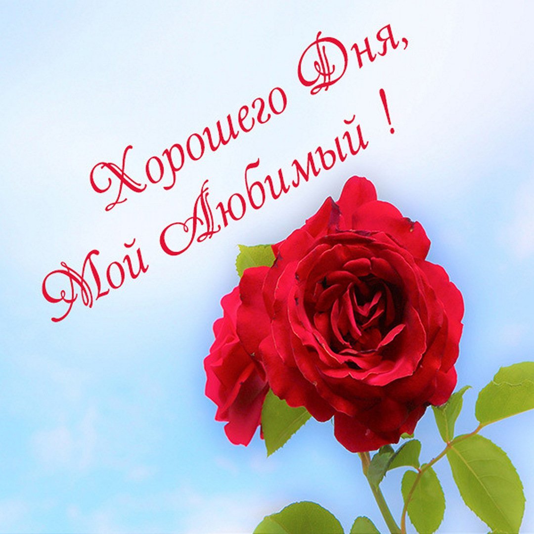 Пожелания с добрым у Ром