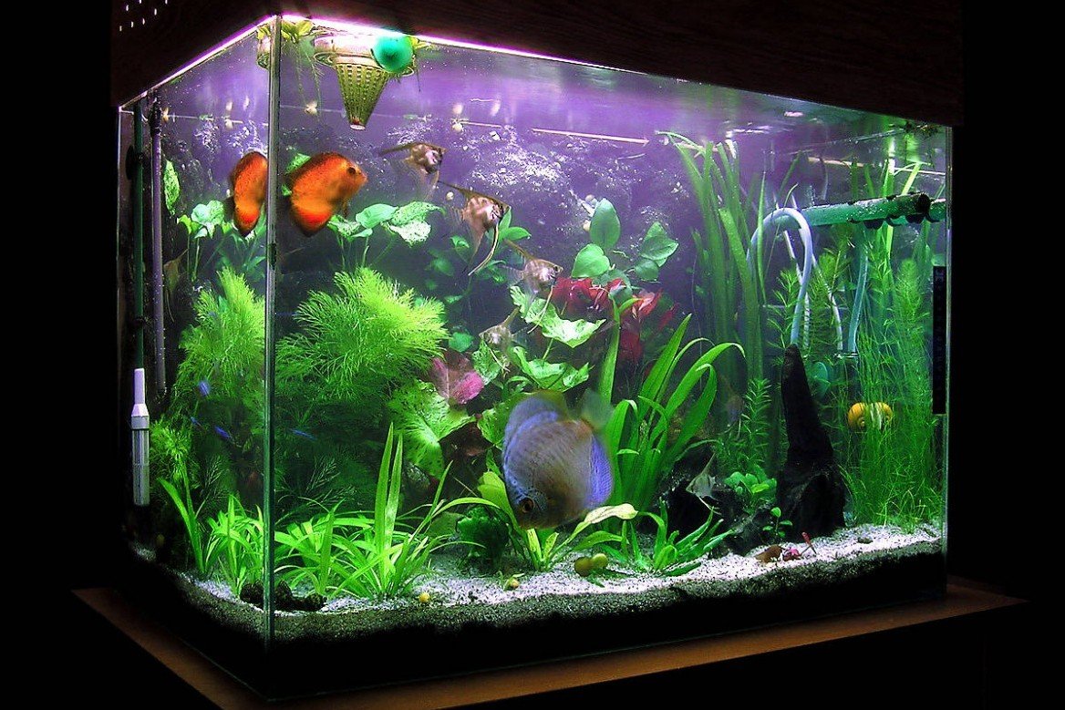 Морской аквариум