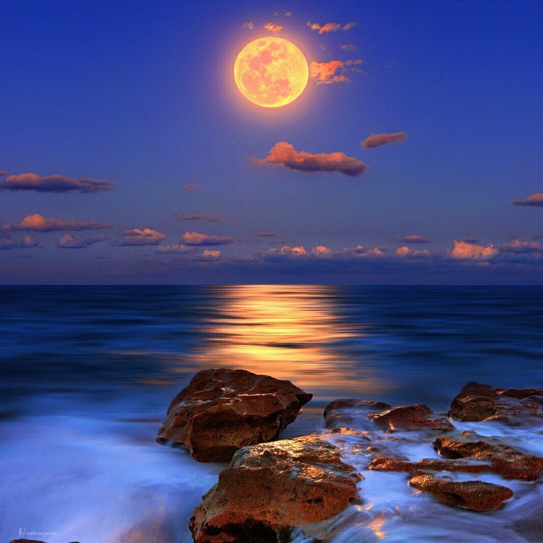 Доброй ночи с природой морем