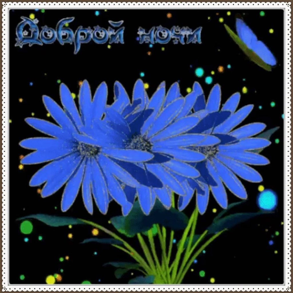 Сладких снов котенок