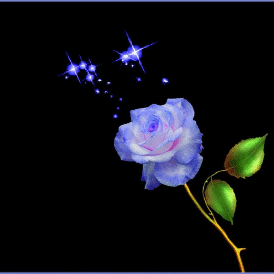 Спокойной ночи хорошего отдыха