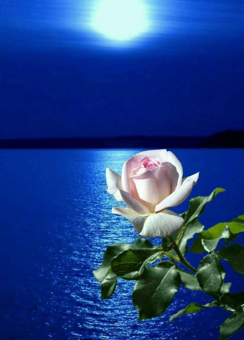 Смайлик Приветствие