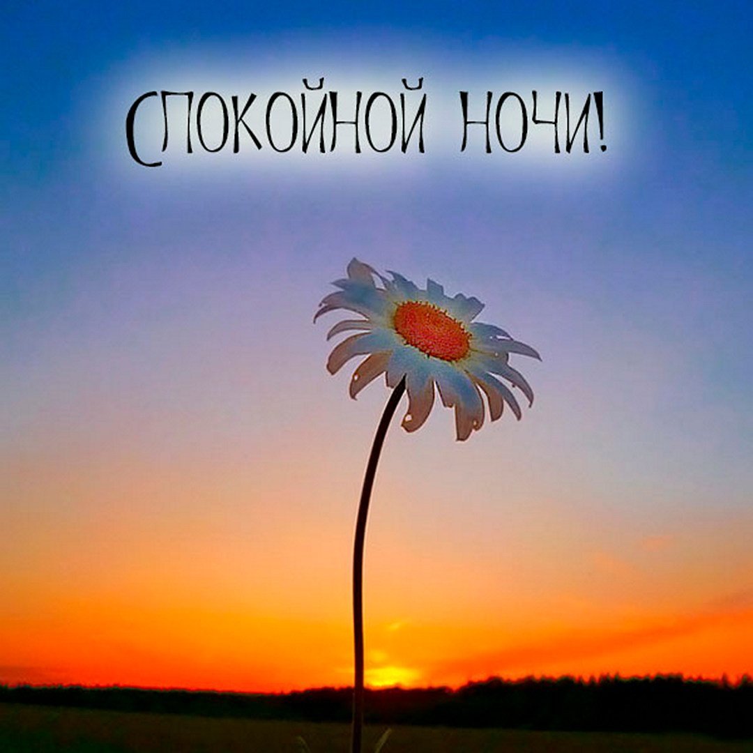 Открытки до свидания и до встречи