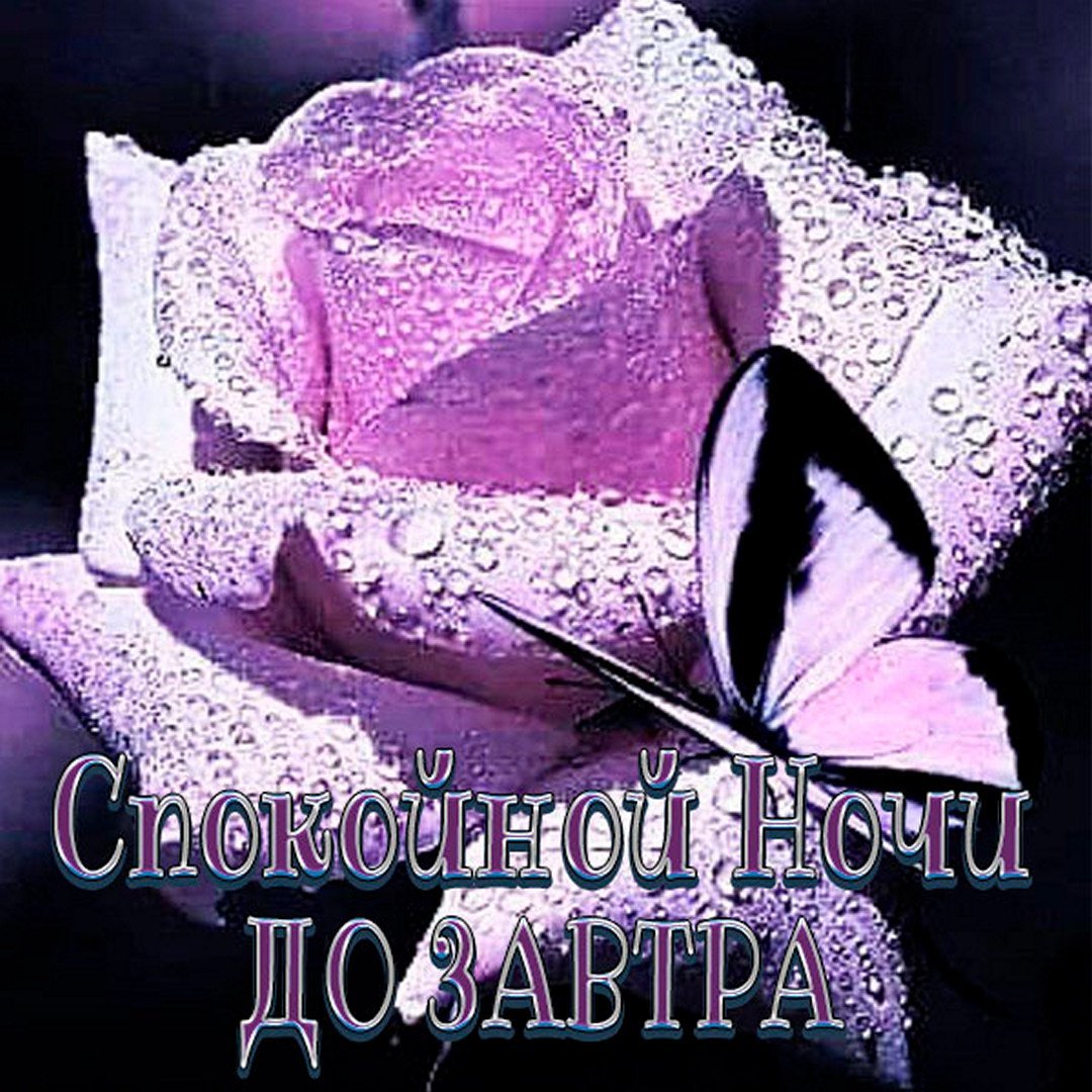 До завтра жду