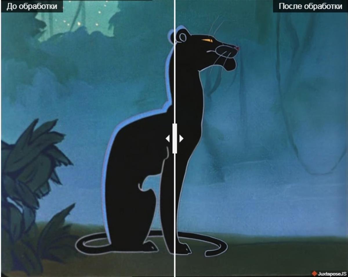 Красивая пантера и девушка