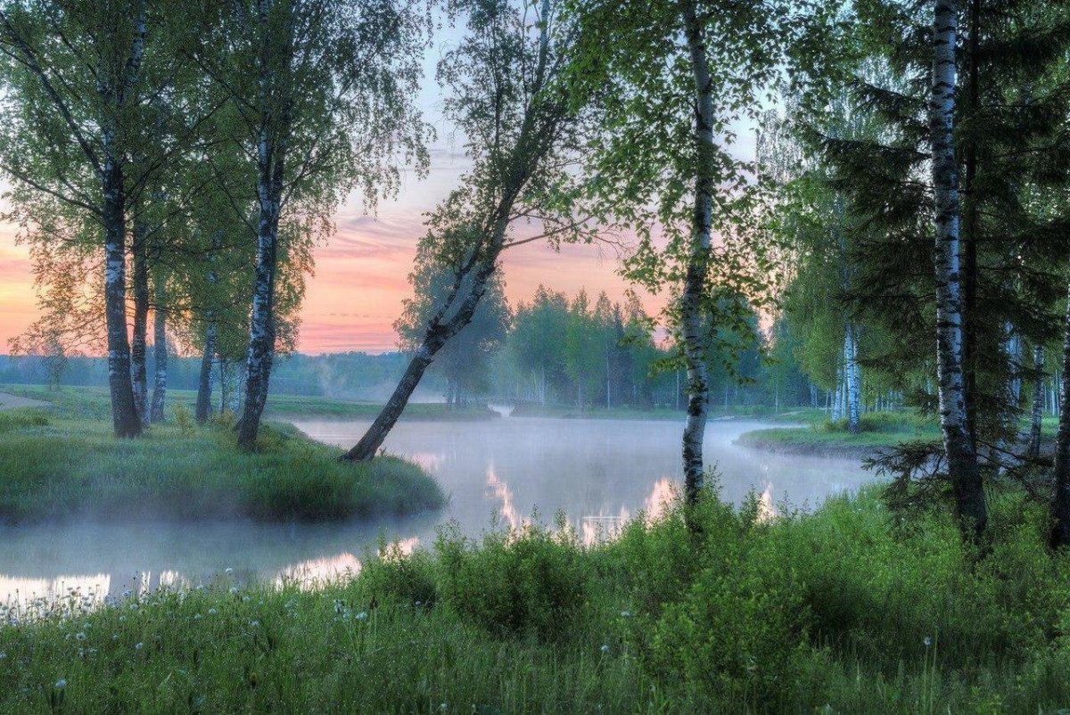 Прокопьевск Березовая роща