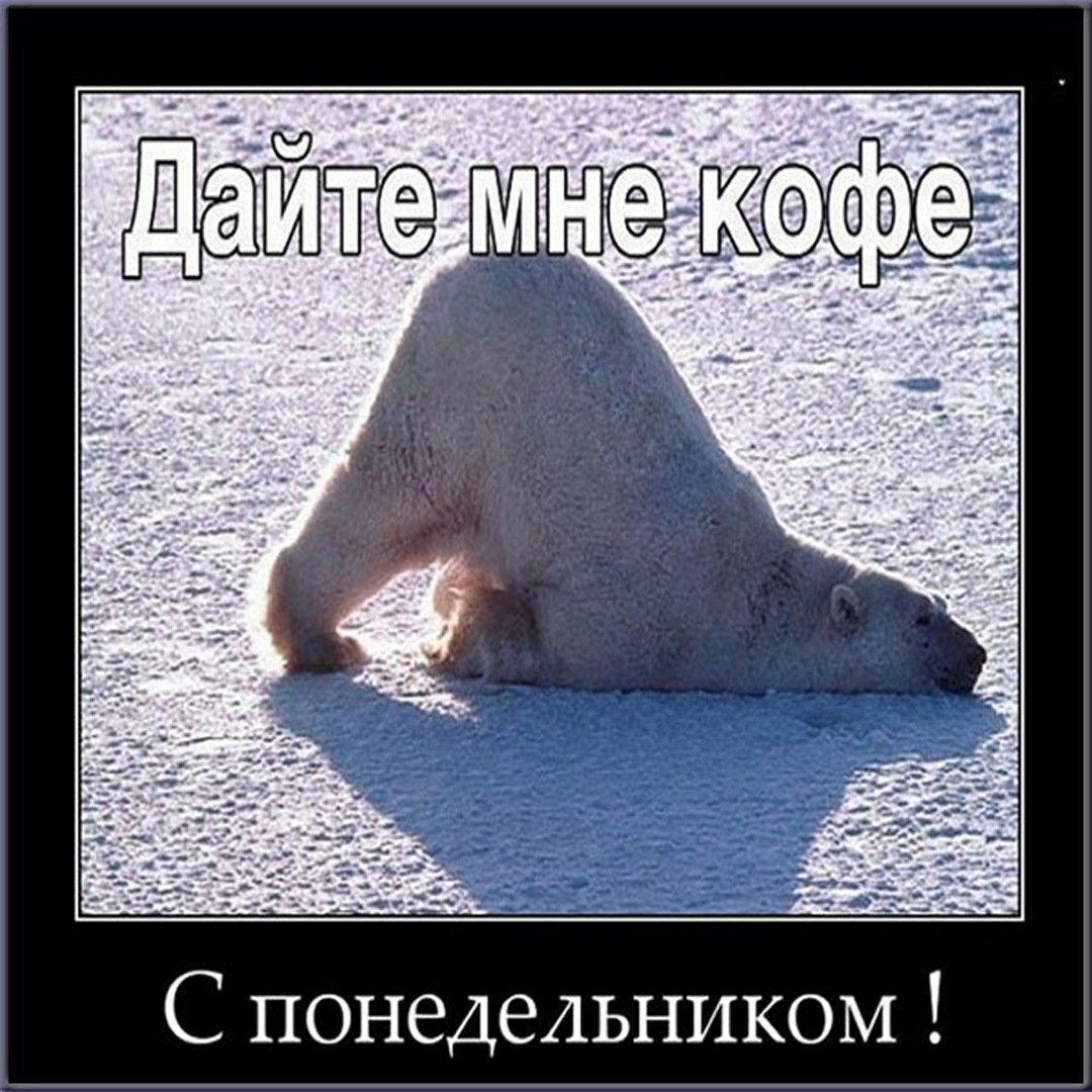 Понедельник приколы