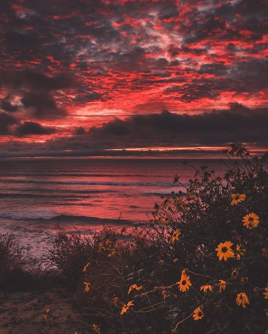 Закат Эстетика