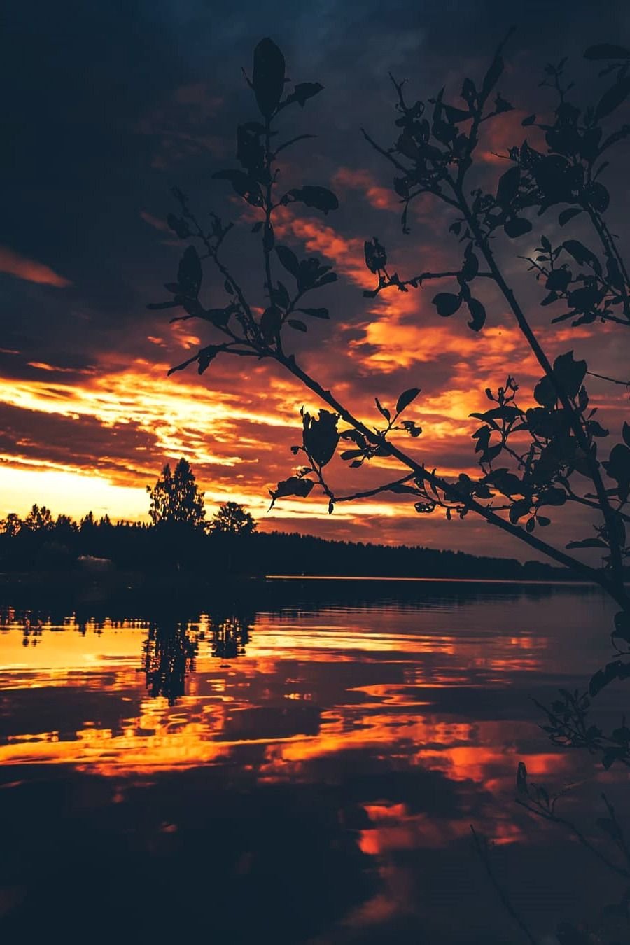 Рассвет Эстетика