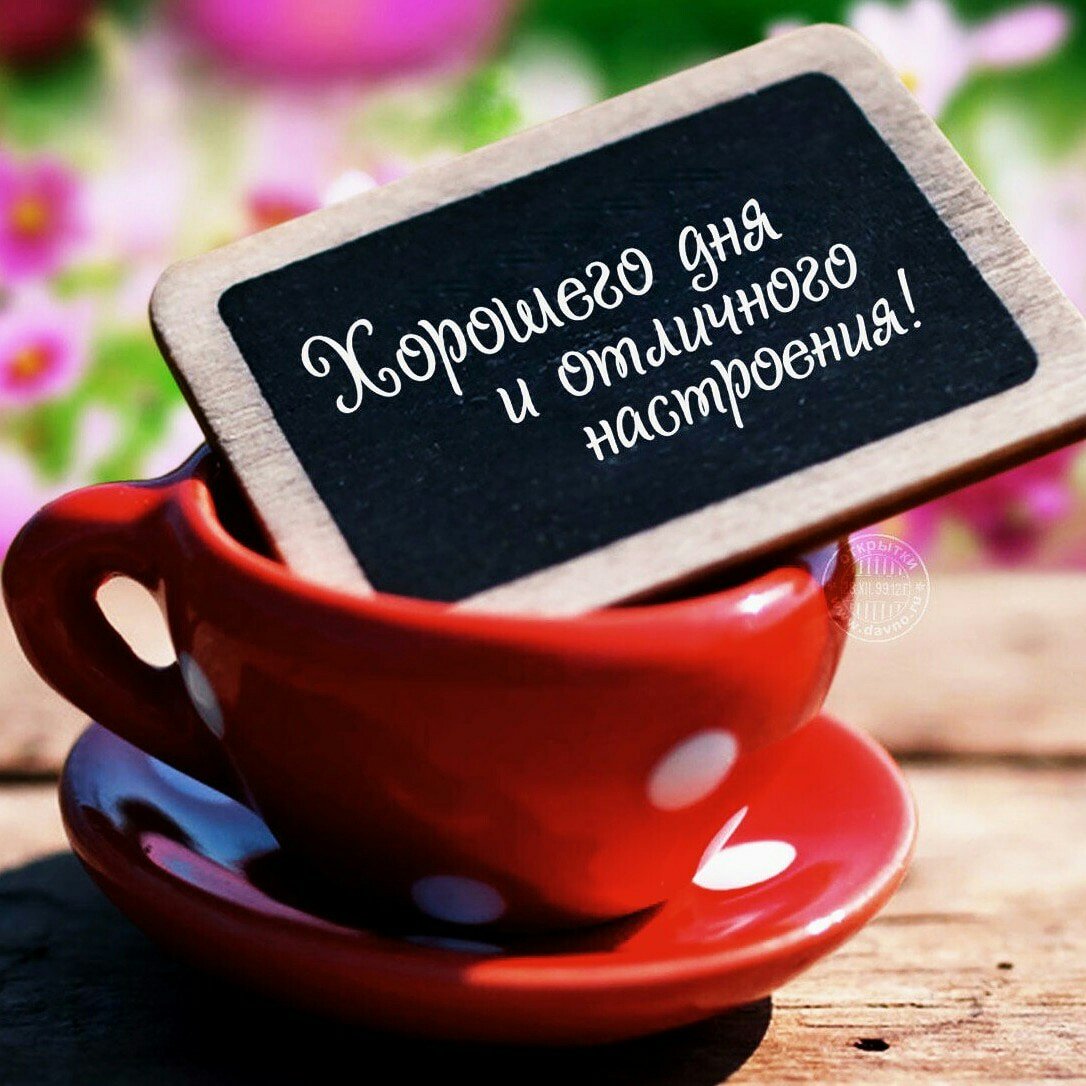 Доброе утро плодотворной пятницы