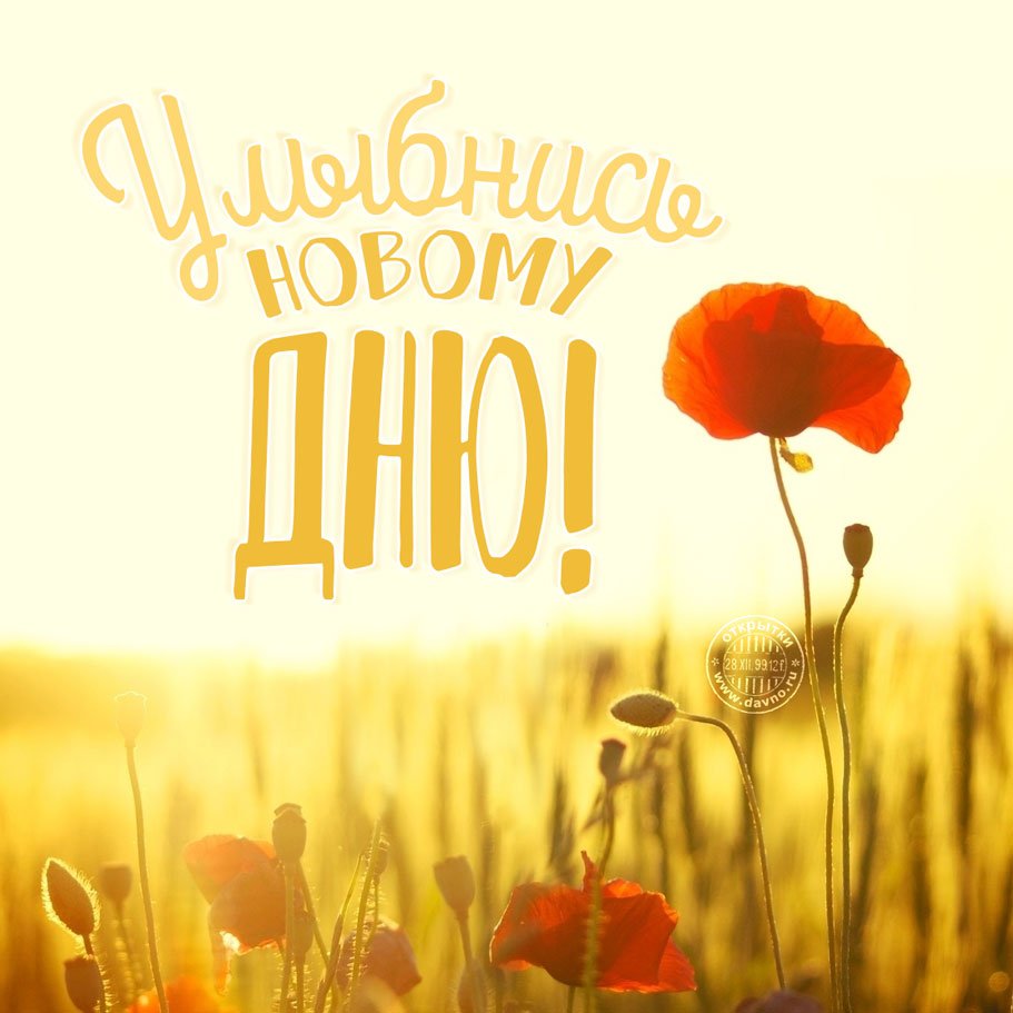 Стильные осенние открытки. Бесплатно.