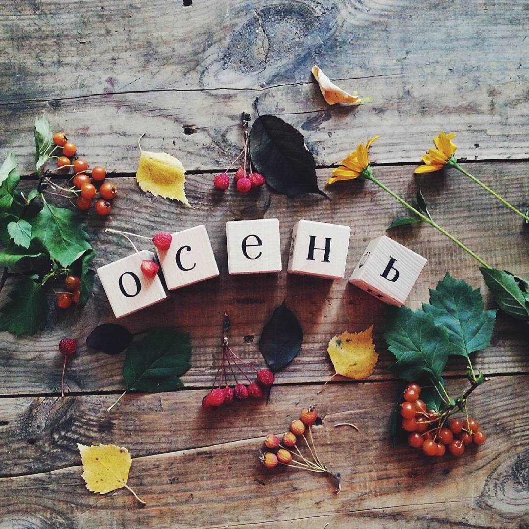 Бодрого понедельника