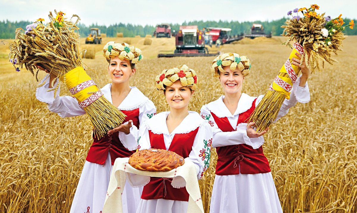 Дожинки в Беларуси