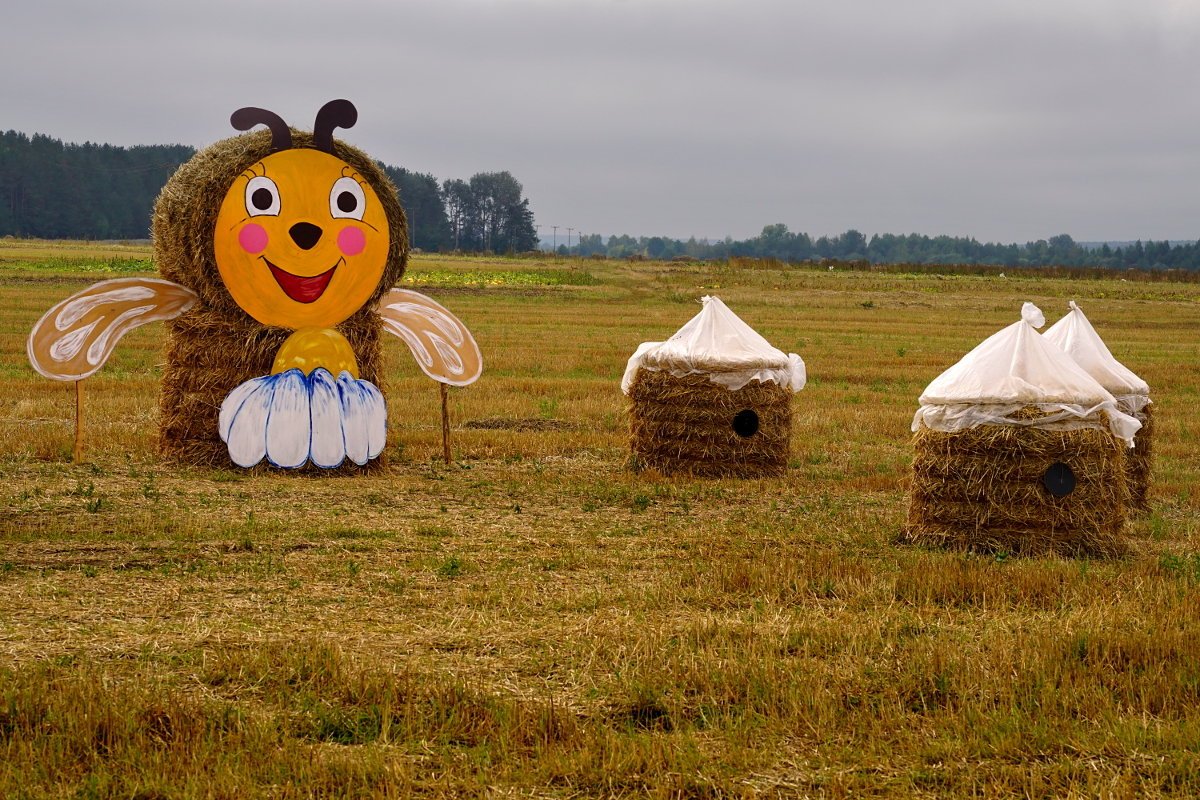 Дожинки что это за праздник