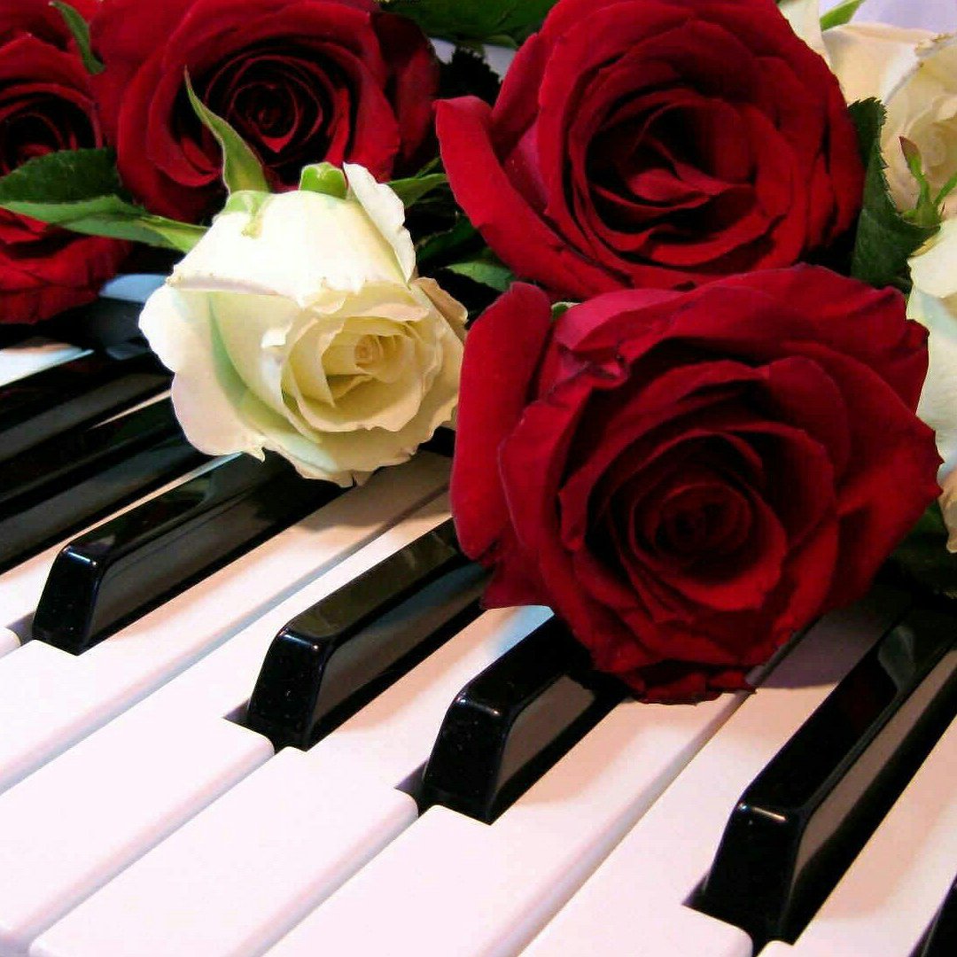 Всемирный день пианиста