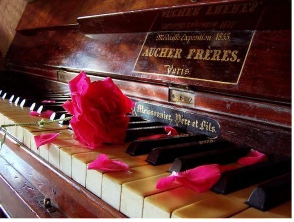 Цветы на пианино