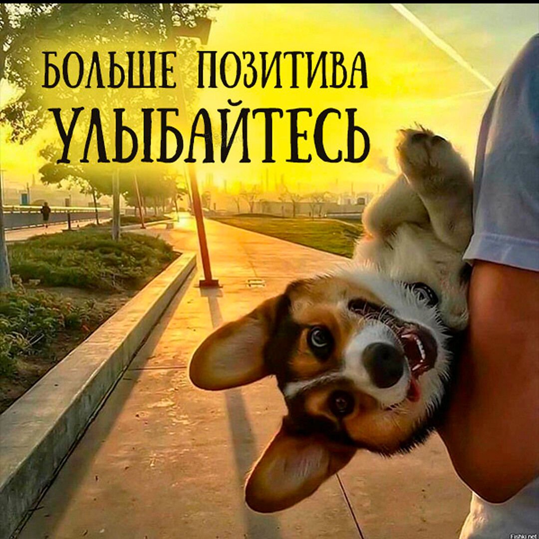 Желаю позитива