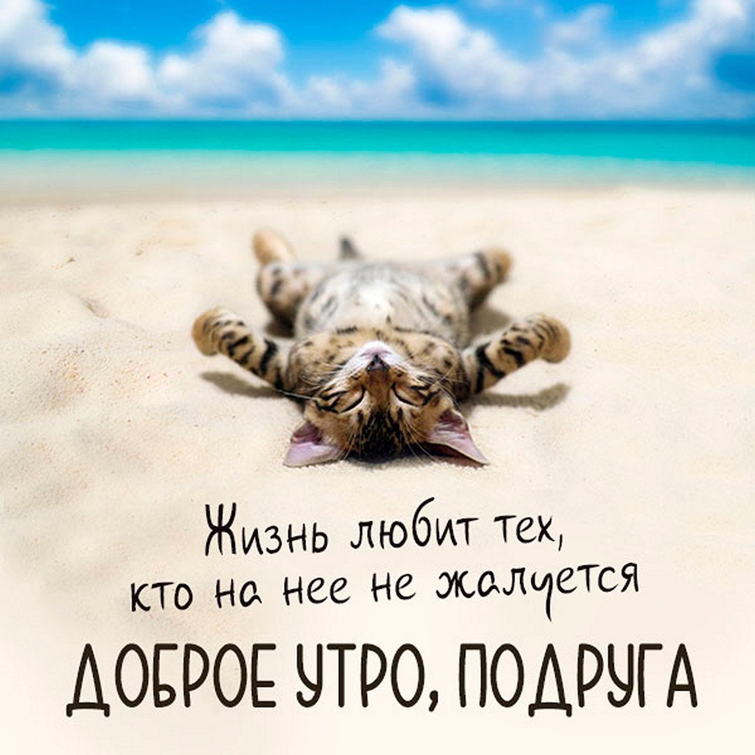 Лучшей подруге с добрым утром