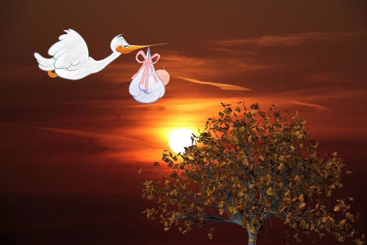 Аист несет ребенка