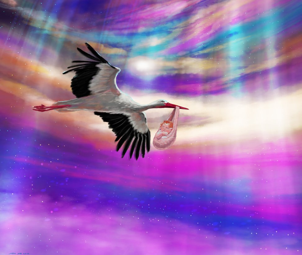 Аист картинка