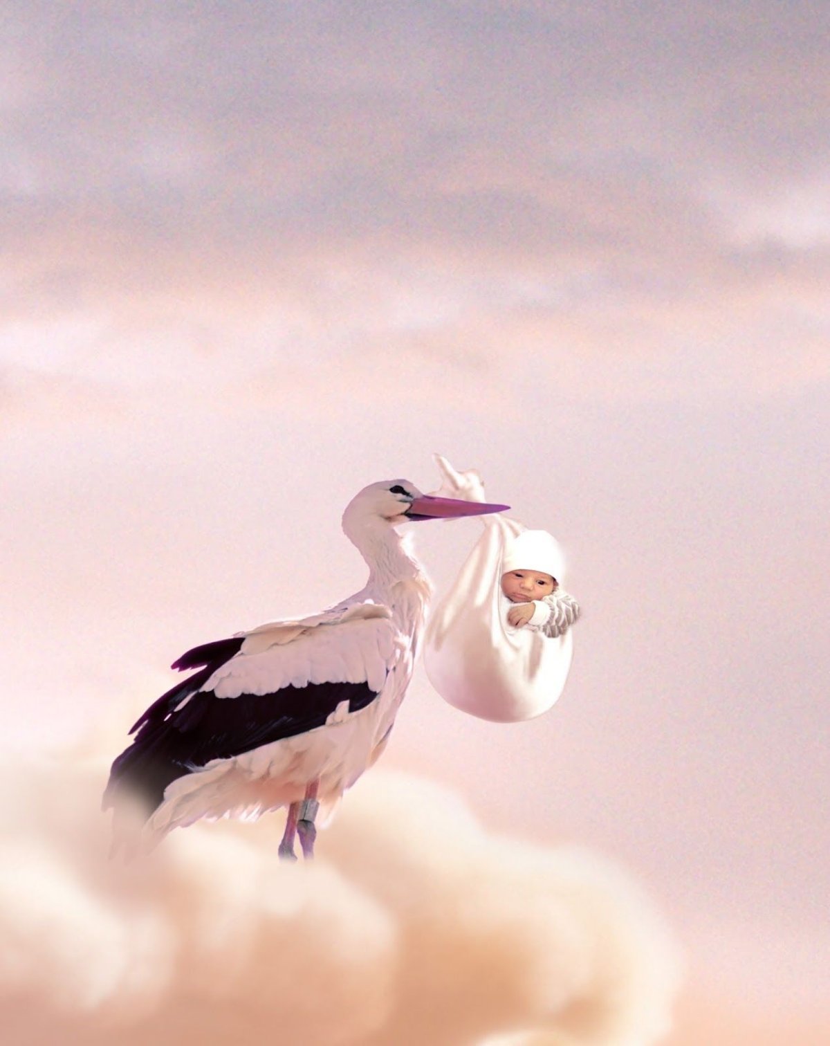 Аист с ребенком