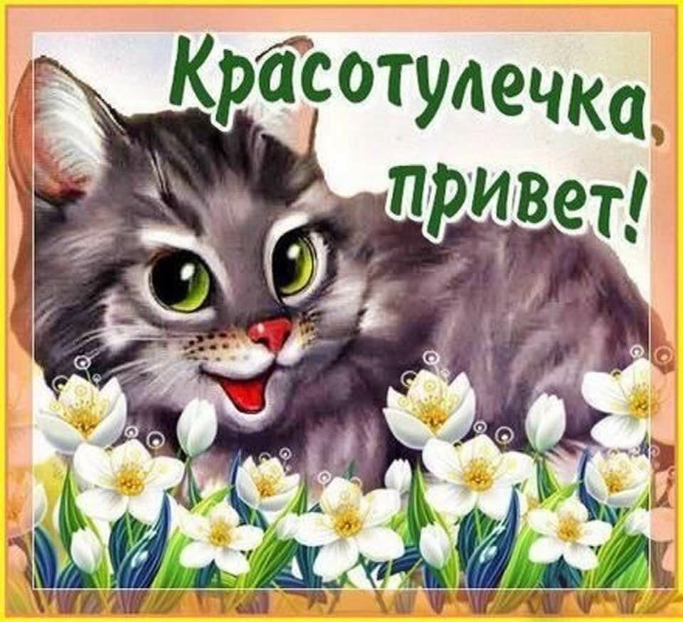 Интересные поздравления с добрым утром