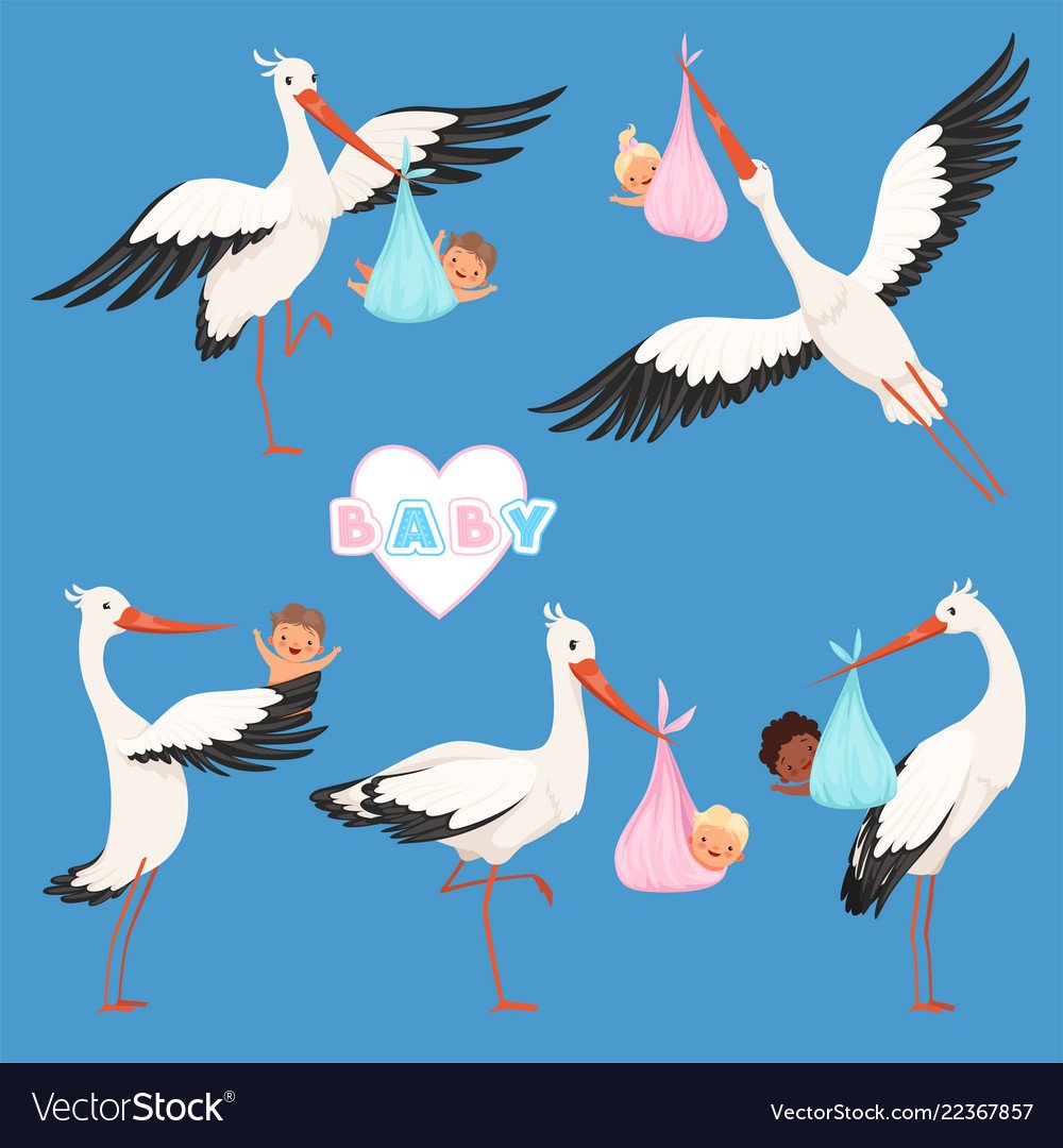 Аист картинка