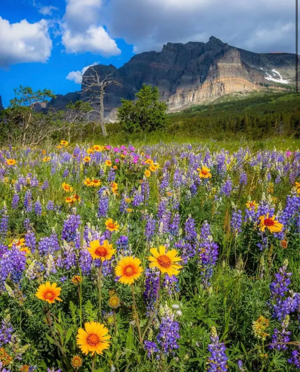 Красота природы