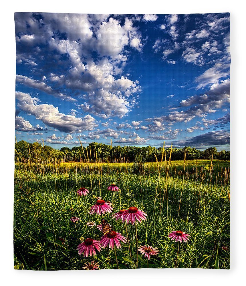 Цветущий луг Йеллоустоун