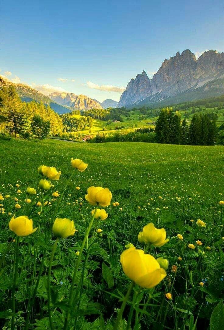 Красивая природа