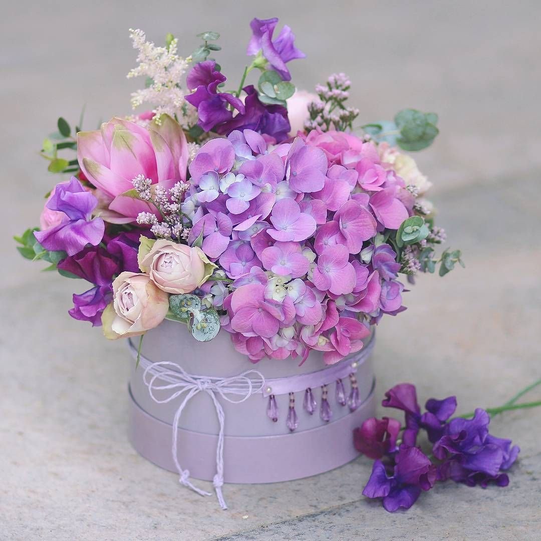 Латирус с розами