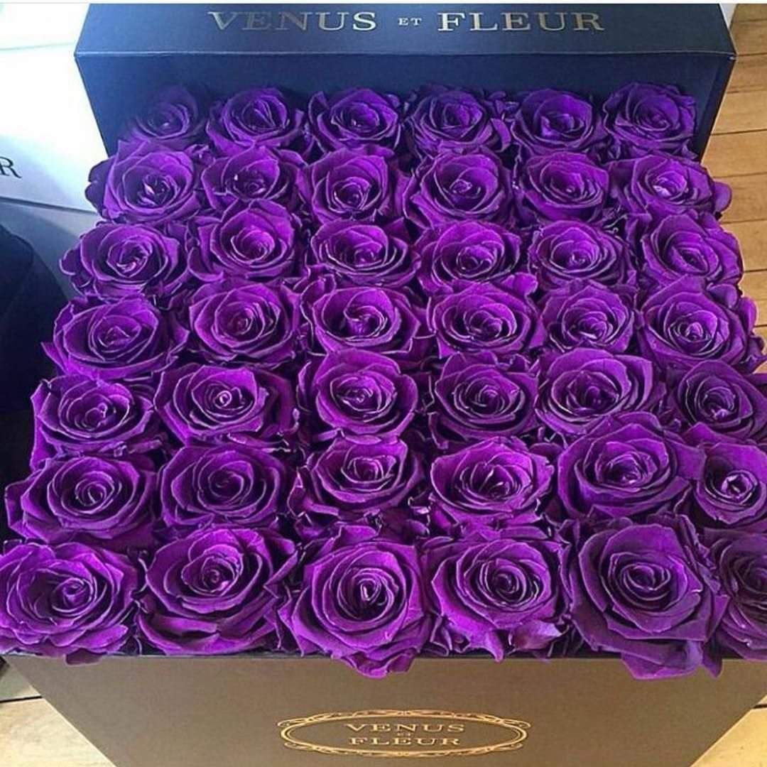 Большой букет фиолетовых роз