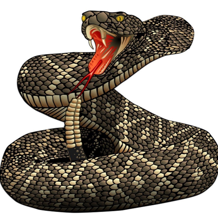 Змея Кобра гремучая