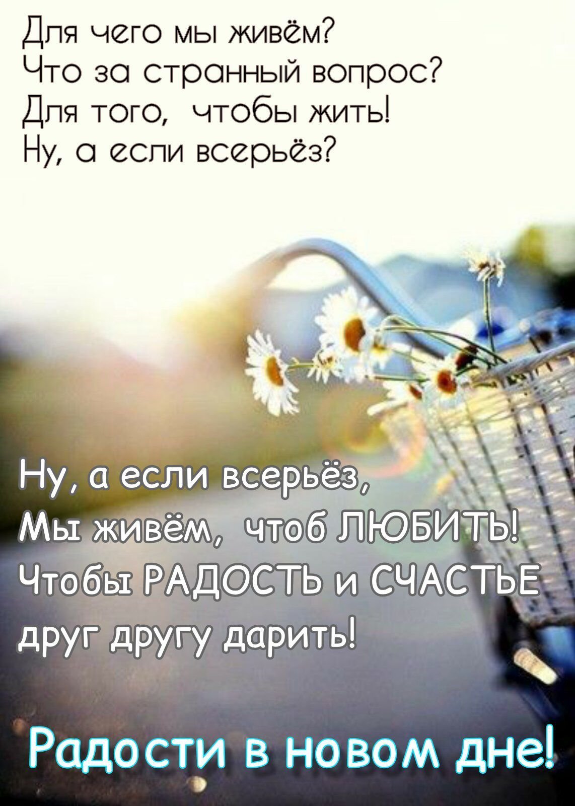 Позитивные высказывания