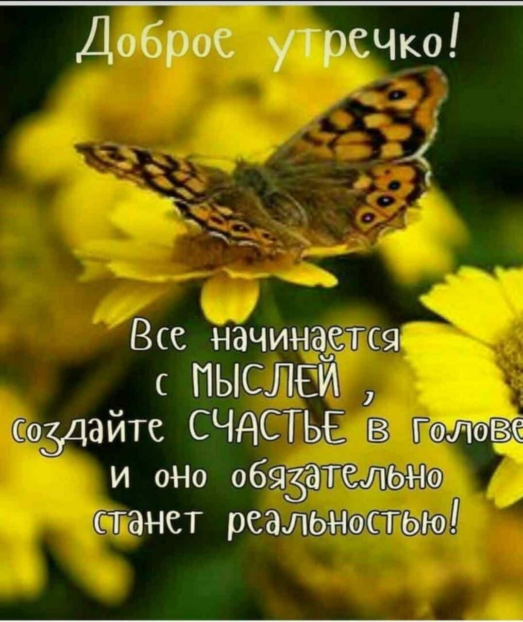 Добрые пожелания и высказывания