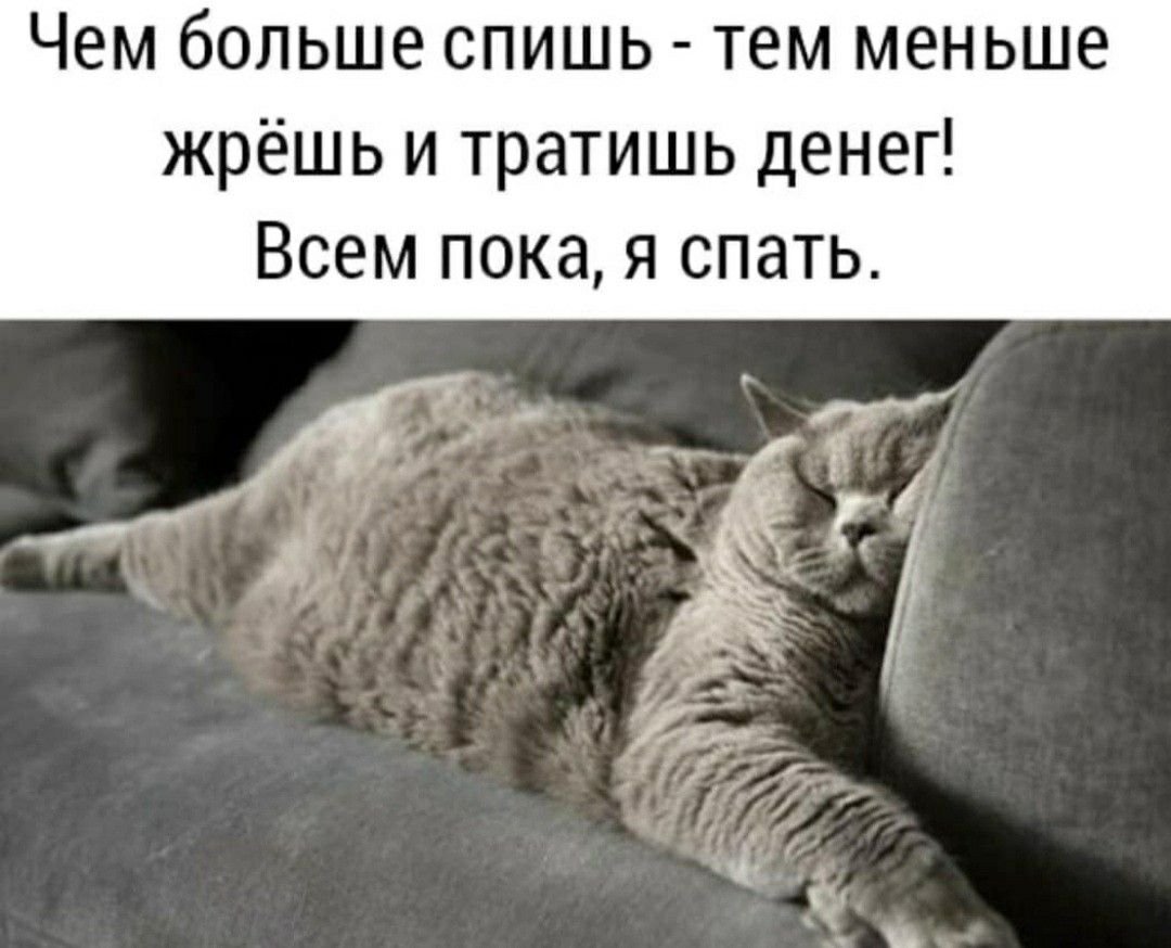Ленивый кот