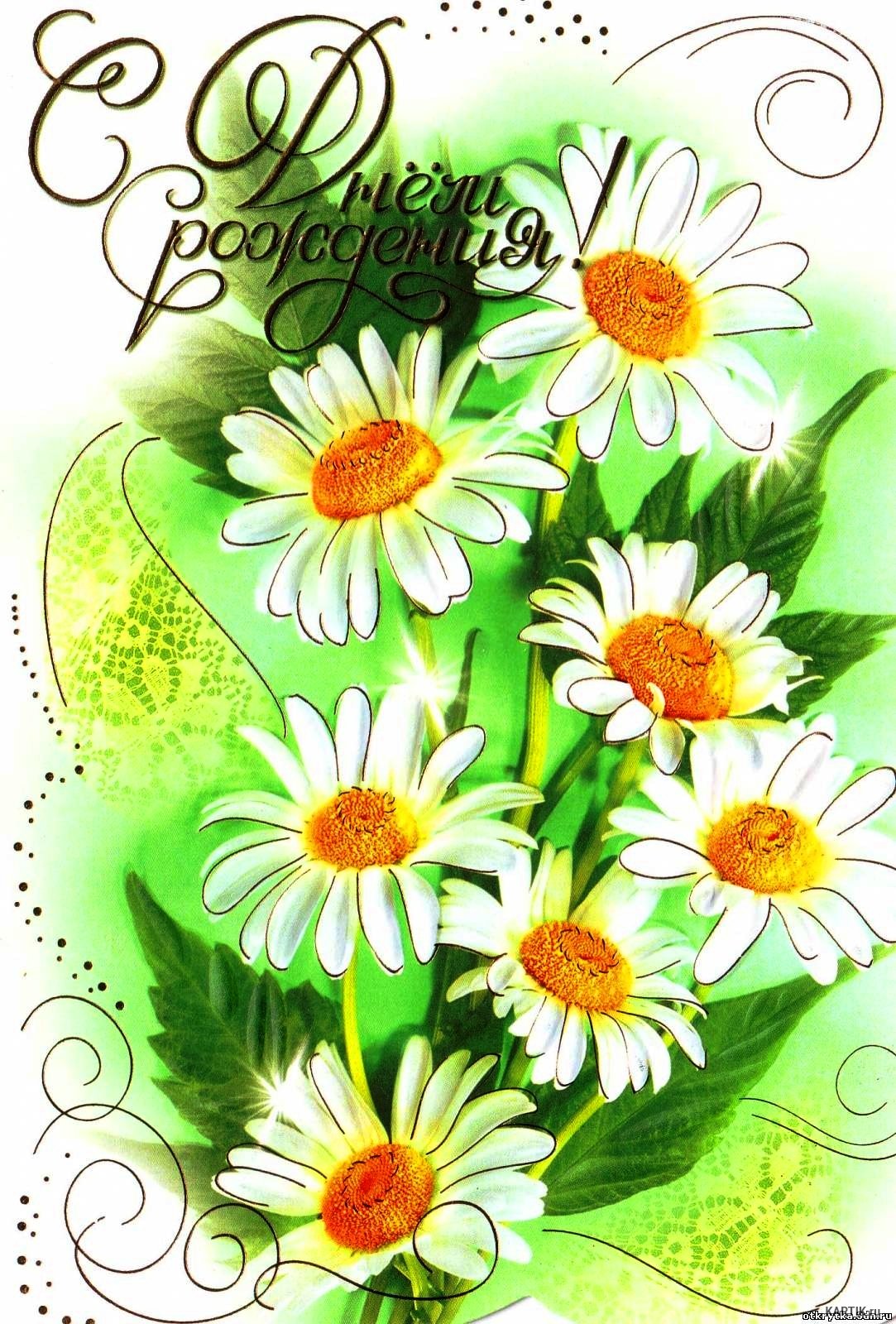 Поздравляю с днём рождения