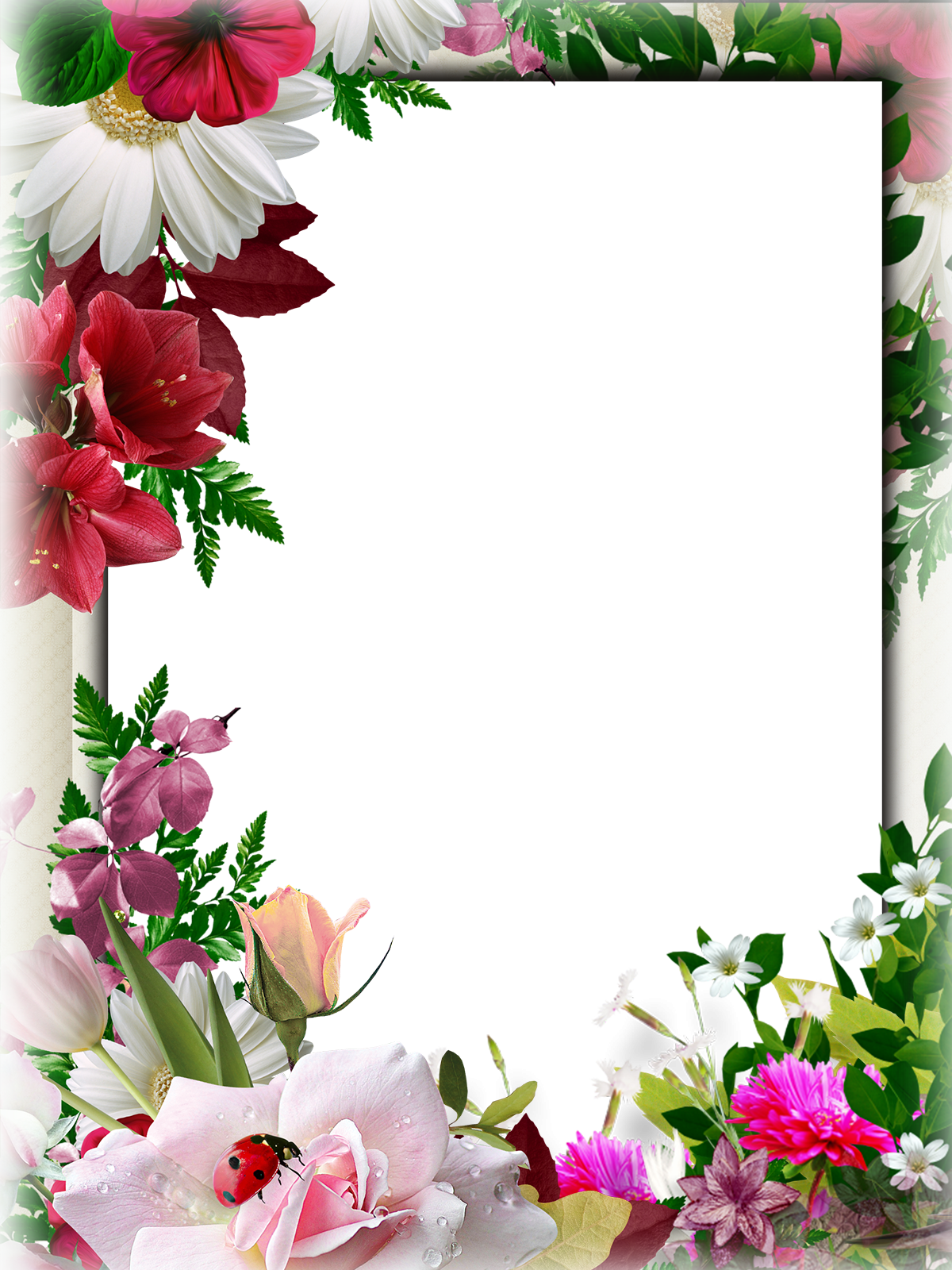 Поздравительный букет цветов