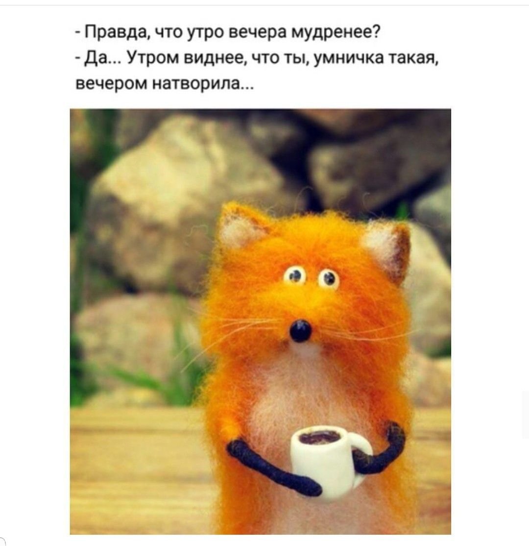Утро вечера мудренее смешные