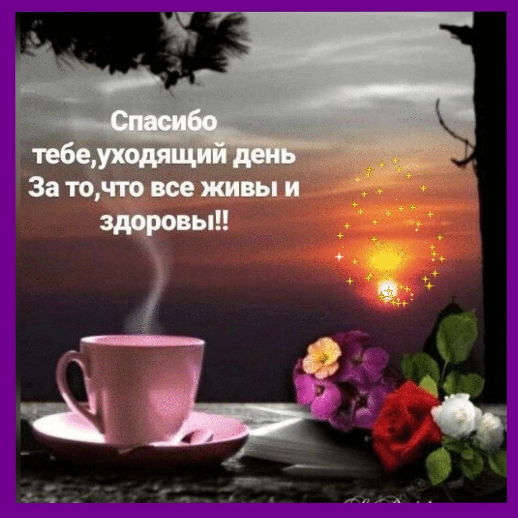 Доброе утро день вечер ночь