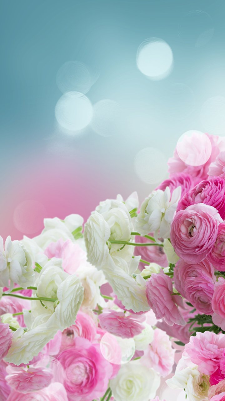 Красивые фоторамки