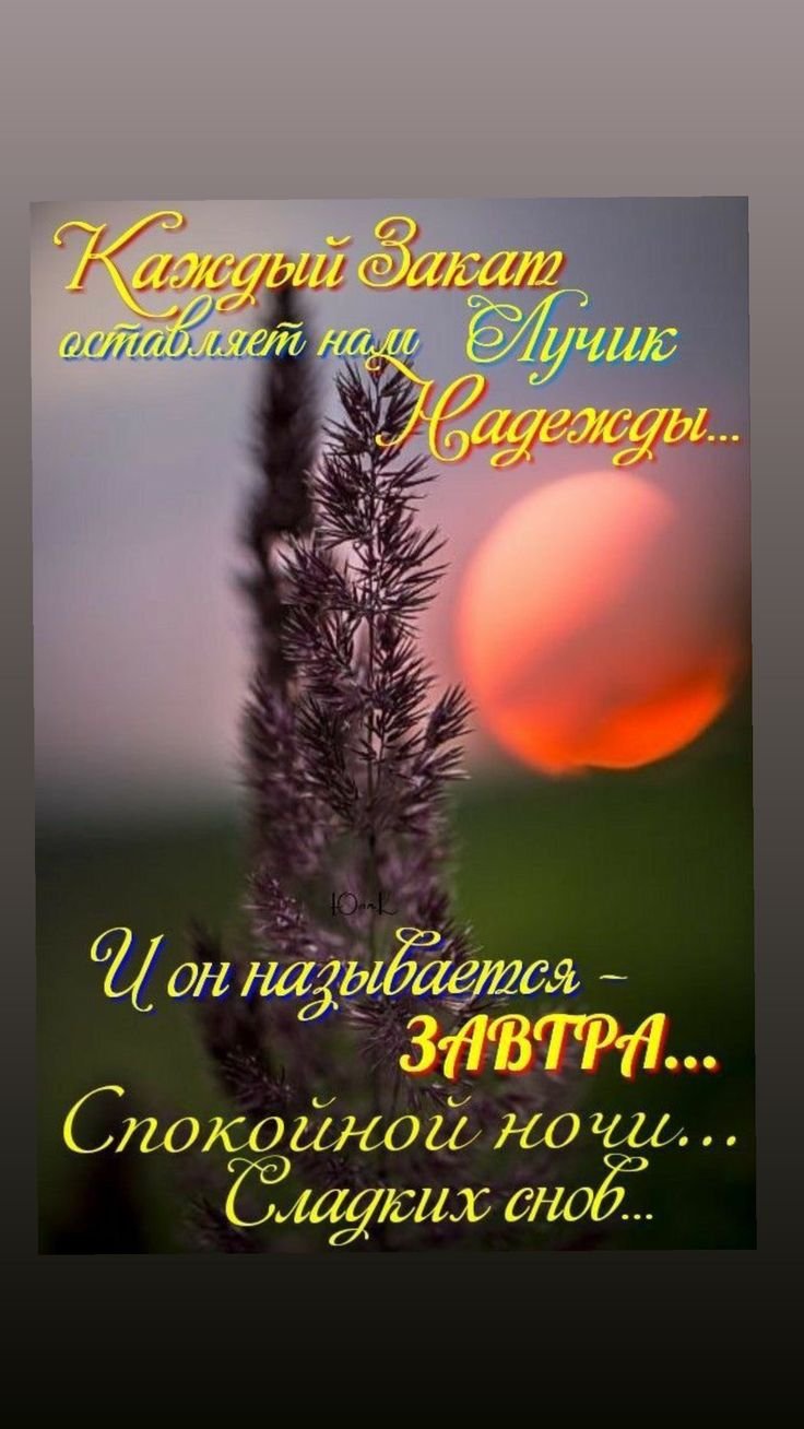 Спокойной ночи афоризмы