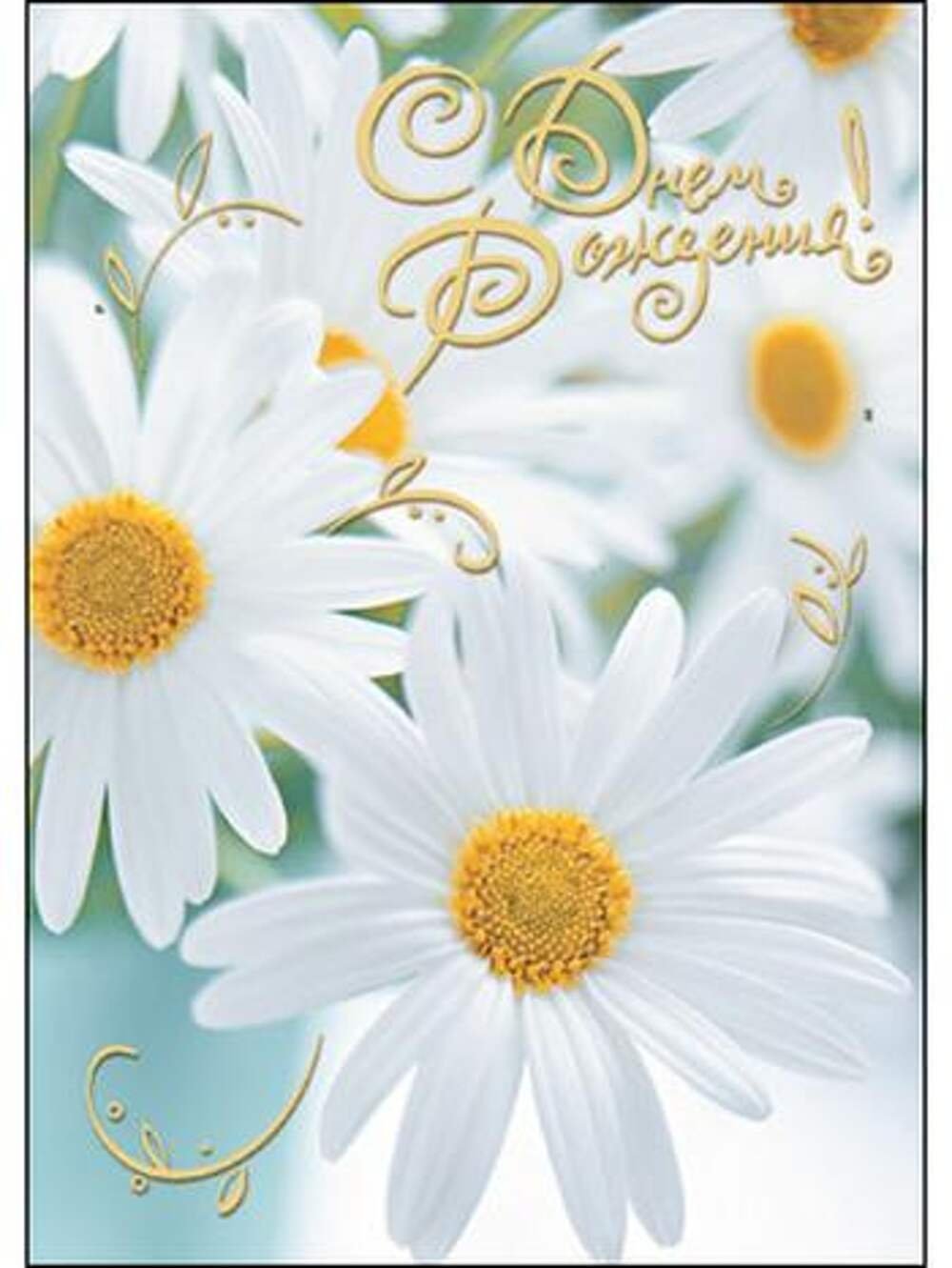 Фон с цветами для поздравления