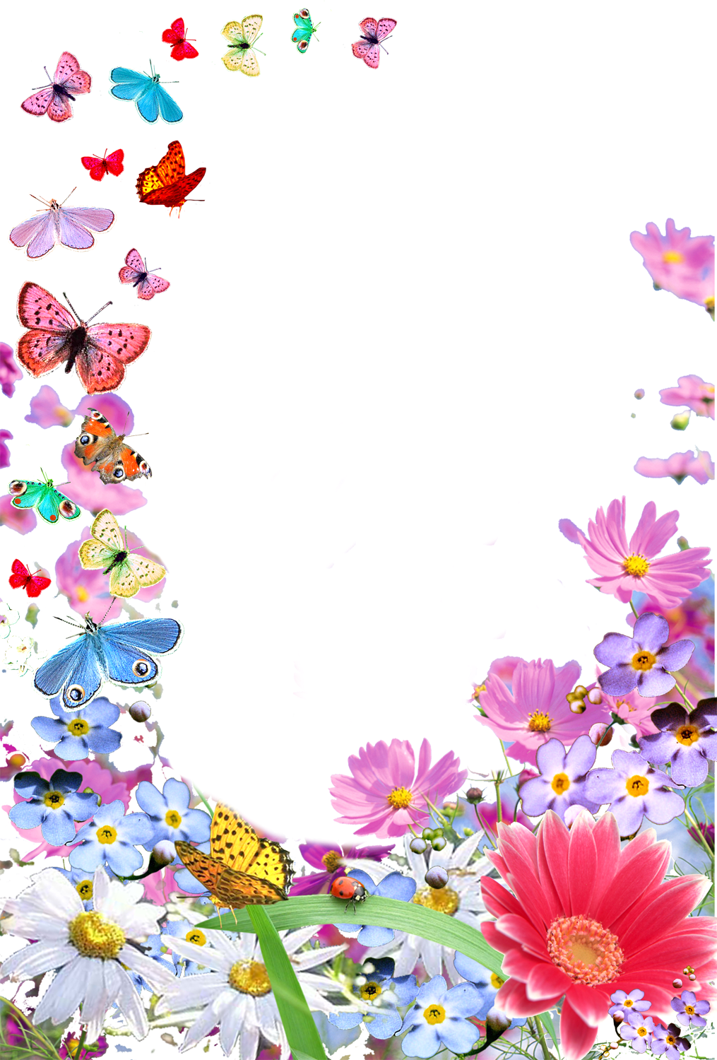 Цветы поздравления