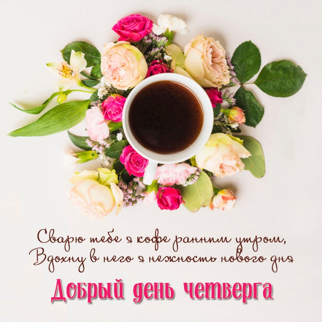 Доброе утро вторника